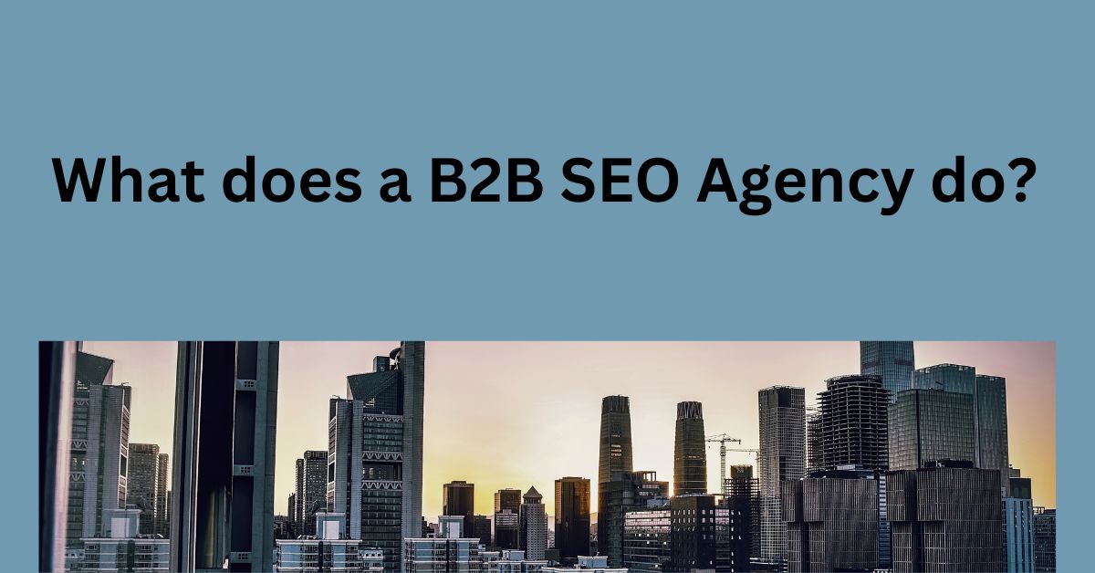 What does a B2B SEO Agency do?